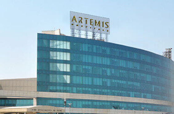Wertheim's Hysterectomy Package in Artemis Hospital