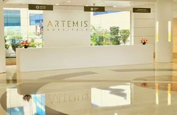 Wertheim's Hysterectomy Package in Artemis Hospital