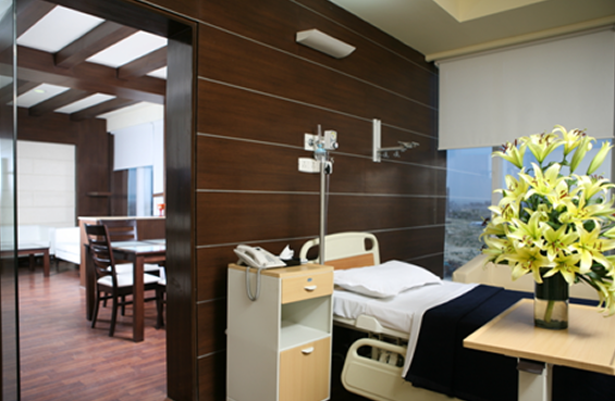 Wertheim's Hysterectomy Package in Artemis Hospital